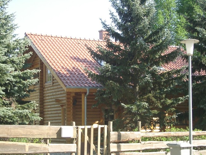Holzhaus umgeben von Bäumen