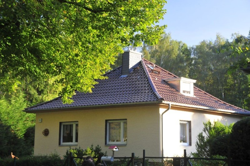 Helles Haus umgeben von Bäumen